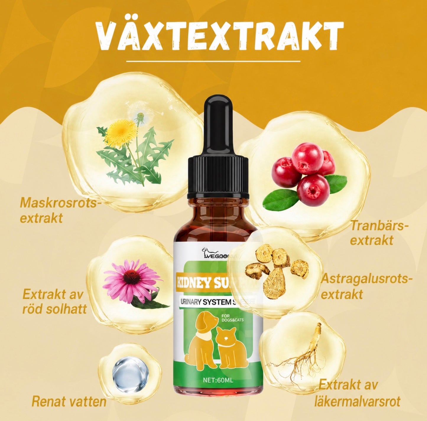 Kosttillskott för husdjur – stöd energi och vitalitet